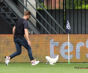 📷 🎥 Duel in Eredivisie stilgelegd na protest en... een kip op het veld