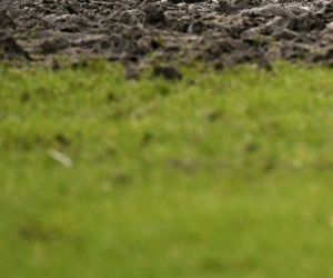 De zoektocht naar de laagste stamnummers: 32. Herve