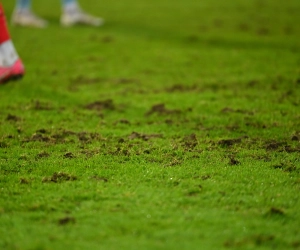 Wat is er aan de hand met het veld van Essevee? "We hadden hen hiervoor gewaarschuwd"