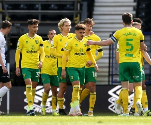 Norwich keert terug naar de Premier League als kampioen in de Championship