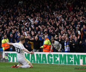 🎥 Prachtige beelden na laatste fluitsignaal in Leeds - Norwich