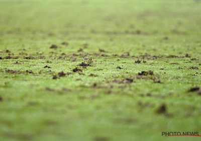 Kustboys zoeken geen excuses, maar: "Het slechtste veld waar ik ooit op heb gespeeld"