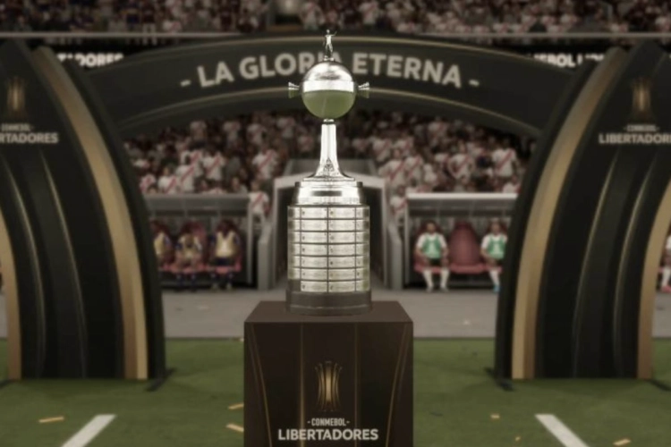 Finale Copa Libertadores wordt Braziliaans onderonsje tussen Santos en Palmeiras